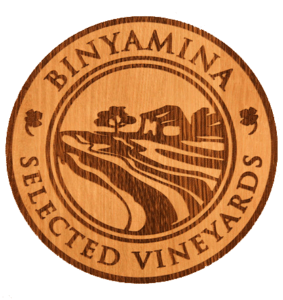 binyamina logo