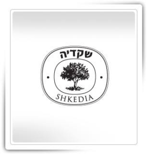 shkedia logo